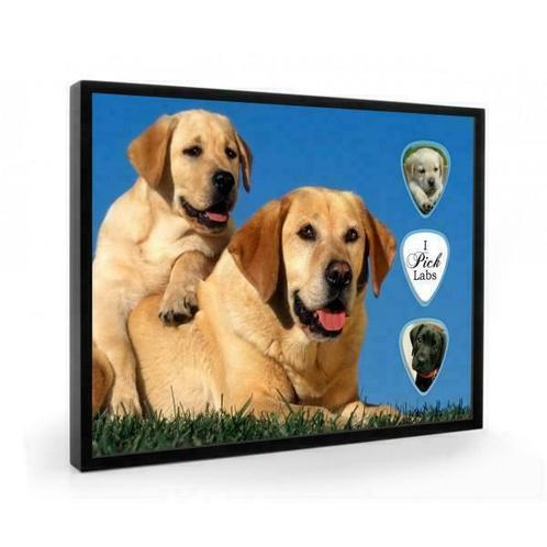 Labrador Retriever hond plectrumdisplay, Verzamelen, Dierenverzamelingen, Overige typen, Nieuw, Hond of Kat, Ophalen of Verzenden