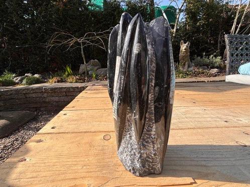 Orthoceras - Fossiel fragment - 20 cm - 10 cm (Zonder, Verzamelen, Mineralen en Fossielen