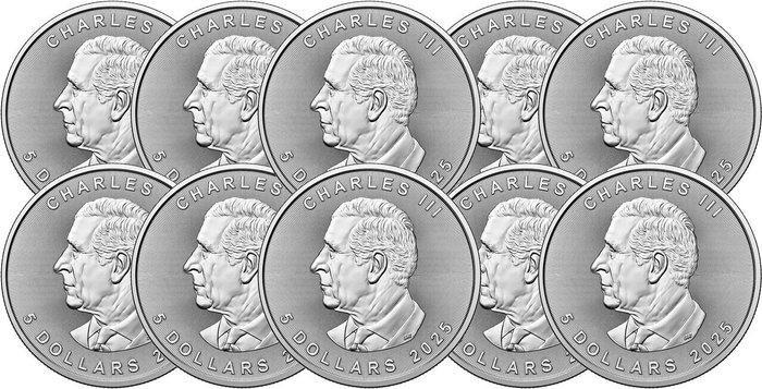 10 troy ounce - Zilver .999 - Maple Leaf 2025 - 311 gram -, Postzegels en Munten, Edelmetalen en Baren