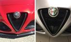 Alfa Romeo 4C Carbon Fiber Voor Bumper V Grill, Verzenden