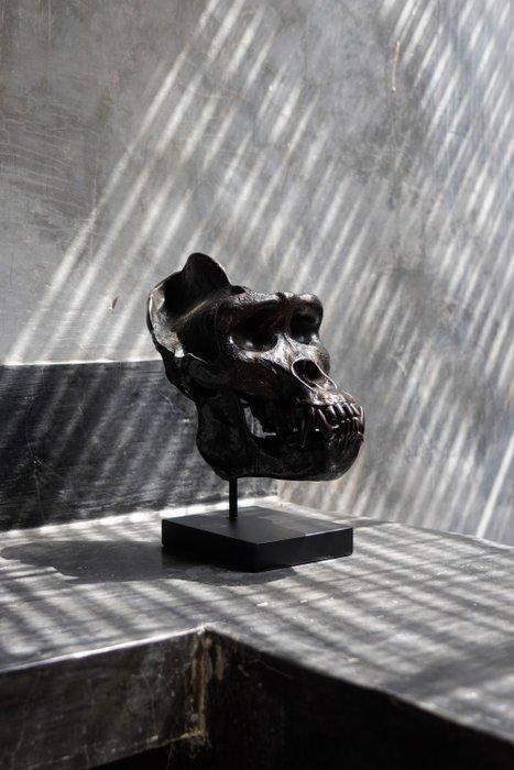 sculptuur, Western Gorilla Skull, cast in the finest, Antiek en Kunst, Kunst | Designobjecten