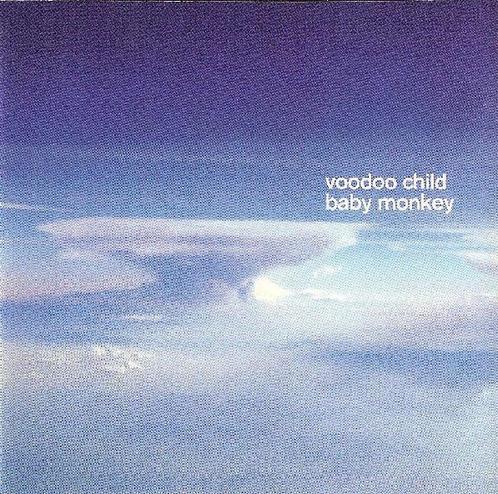 cd - Voodoo Child - Baby Monkey, Cd's en Dvd's, Cd's | Overige Cd's, Zo goed als nieuw, Verzenden