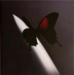 LP nieuw - Post Malone - Twelve Carat Toothache, Cd's en Dvd's, Vinyl | Hiphop en Rap, Verzenden, Nieuw in verpakking