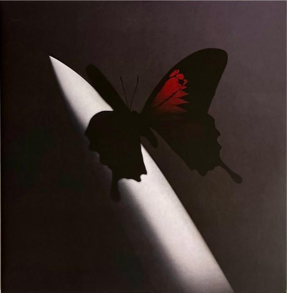 LP nieuw - Post Malone - Twelve Carat Toothache, Cd's en Dvd's, Vinyl | Hiphop en Rap, Verzenden