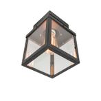 Industriële buitenplafondlamp zwart 1-lichts - Rotterdam, Nieuw, Overige materialen, 50 tot 250 watt