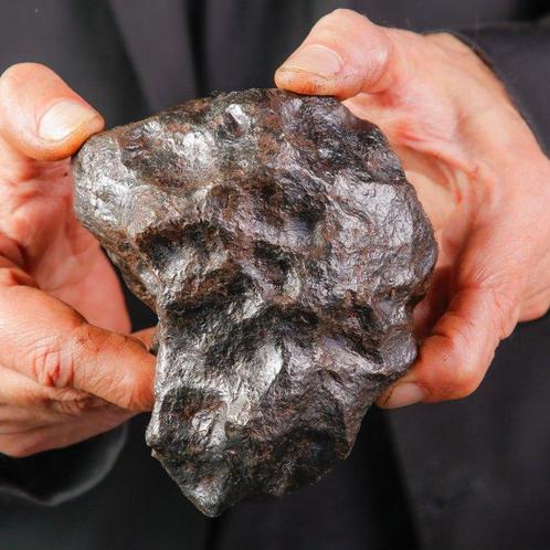 Asteroïdekern - IJzermeteorietfragmenten Meteoriet - Campo, Verzamelen, Dierenverzamelingen