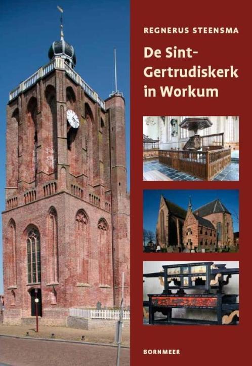 De Sint-Gertrudiskerk in Workum 9789056152376, Boeken, Kunst en Cultuur | Architectuur, Gelezen, Verzenden