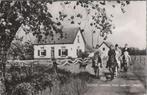 HEERDE - IJslands Pony centrum Vinur, Verzenden, Gelopen