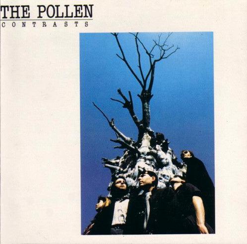 The Pollen - Contrasts (CD, Album), Cd's en Dvd's, Cd's | Pop, Ophalen of Verzenden