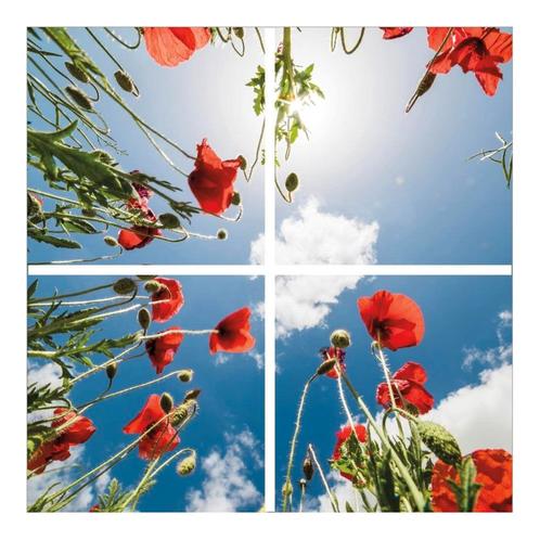 Klaprozen plafond | Fotoprint | verdeeld over 4 panelen, Zakelijke goederen, Kantoor en Winkelinrichting | Kantoormeubilair en Inrichting