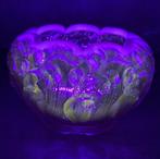 Fenton Art Glass Company - Lavender Opalescent Rose Garden -, Antiek en Kunst