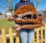 Dinosaurus Schedel - 1:1 Dilophosaurus Skull 60cm Museum