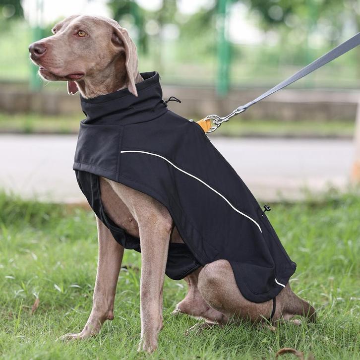 Warme  Hondenjas Outdoor zwart waterafstotend ALLEEN MAAT L, Dieren en Toebehoren, Hondenkleding, Hondenjas, Nieuw, Ophalen of Verzenden