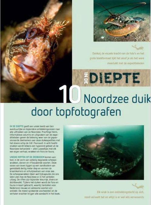 In De Diepte 9789090300085 Willem Heijdeman, Boeken, Hobby en Vrije tijd, Gelezen, Verzenden