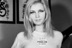 Franco Turcati - Patty Pravo (1966)