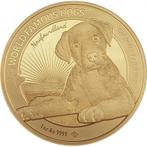 Gouden Kameroen - World Famous Dogs - Labrador - 1 oz 2023, Postzegels en Munten, Munten | Afrika, Goud, Losse munt, Overige landen