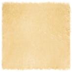 vidaXL Nepleer Schapenvacht Tapijt Crème 200 x 200 cm, Huis en Inrichting, Verzenden, Nieuw, Crème