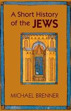 A Short History of the Jews 9780691154978, Zo goed als nieuw
