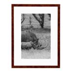 Wissellijst 45x60 cm Wortelnoten, Ophalen of Verzenden, Nieuw