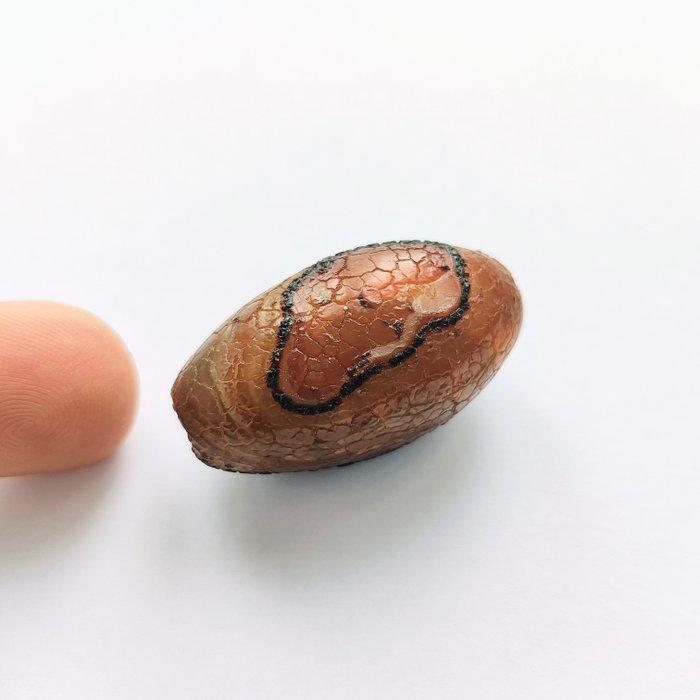 Oud-Tibetaans of Nepalees Archaic Glass Slangenhuid hanger, Antiek en Kunst, Antiek | Overige Antiek