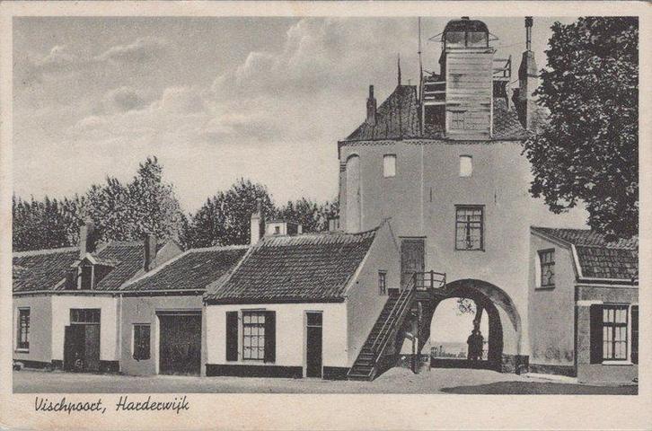 HARDERWIJK - Vischpoort, Verzamelen, Ansichtkaarten | Nederland, Verzenden