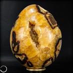 Zeer decoratief natuurlijke septarium Ei- 2294.38 g, Verzamelen, Mineralen en Fossielen