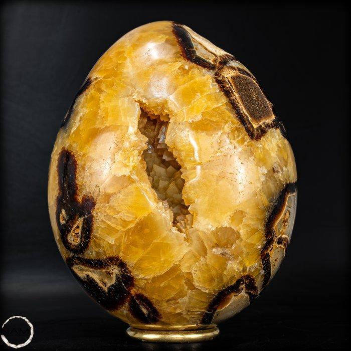 Zeer decoratief natuurlijke septarium Ei- 2294.38 g, Verzamelen, Mineralen en Fossielen