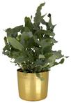 HEMA Bloempot Ø17x12.5 goud sale