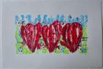 Ad van Hassel (1953) - Flowers