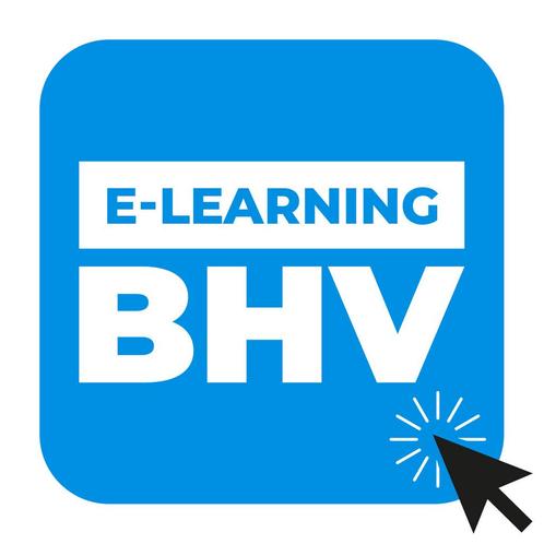 BHV e-learning, Boeken, Studieboeken en Cursussen, Verzenden