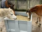 Slowfeeder hooibak XXL 1 kuub paard, Dieren en Toebehoren, Paarden en Pony's | Verzorgingsproducten, Nieuw, Ophalen of Verzenden