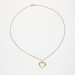 Ketting met hanger - 14 karaat Geel goud