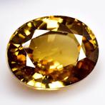 1 pcs Zirkoon - 17.84 ct - International Gemological, Nieuw