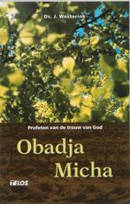 Obadja en Micha 9789058810939 J. Westerink, Boeken, Godsdienst en Theologie, Gelezen, J. Westerink, Verzenden