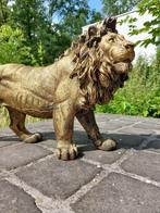 Beeld, Beeld, 60 cm long statue of golden bronze lion - 32