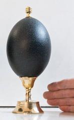 Emoe Ei - Dromaius novaehollandiae - 20 cm - 0 cm - 0 cm, Verzamelen, Nieuw