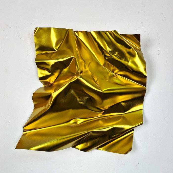 José Soler Art - Steel Silk. Gold, Antiek en Kunst, Kunst | Designobjecten