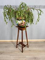 Art Deco eikenhouten plantentafel met metalen details -, Antiek en Kunst