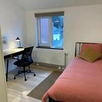 Kamer in het centrum van Rotterdam gevonden in Rotterdam, (Studenten)kamer, Direct bij eigenaar, Rotterdam, Rotterdam