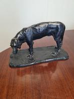 Riboldi - sculptuur, Dog - 17 cm - Brons - 1904, Antiek en Kunst