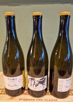 2019 Pattes Loup, Thomas Pico, Vent dAnge, Mise Tardive -, Nieuw