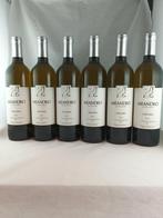2024 Meandro do Vale Meão Branco - Douro - 6 Flessen (0.75, Verzamelen, Nieuw