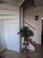 kasten voor u op maat gemaakt!, Diensten en Vakmensen, Timmerlieden en Meubelmakers, Garantie, Timmerwerk of Zaagwerk