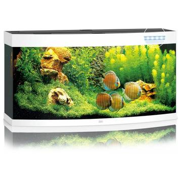 Juwel Vision 260 LED | 260L | 121 x 46 x 64CM Wit