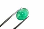 1 pcs Groen Smaragd, Beril - 9.75 ct - International, Sieraden, Tassen en Uiterlijk, Edelstenen, Nieuw