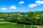 Franco Turcati - Langhe estate