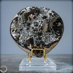 Natuurlijk Septarisch Hart Draken Ei met calcietkristallen, Verzamelen, Mineralen en Fossielen