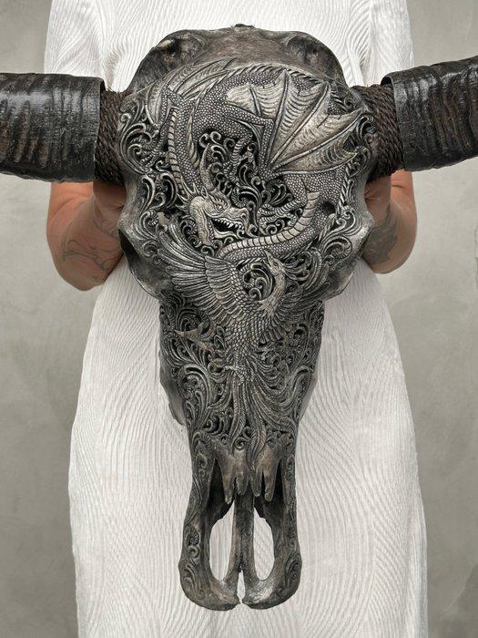 C - Authentieke grote grijze waterbuffelschedel -, Antiek en Kunst, Kunst | Designobjecten