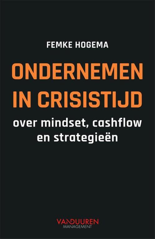 Ondernemen in crisistijd 9789089655219 Femke Hogema, Boeken, Economie, Management en Marketing, Zo goed als nieuw, Verzenden