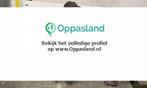 Mathijs zoekt een oppas in Geldermalsen voor 2 kinderen o..., Nieuw